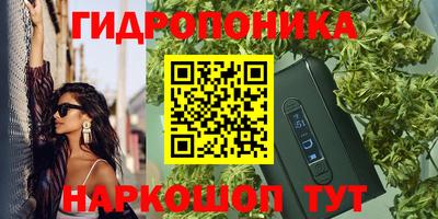 дживик Гусев